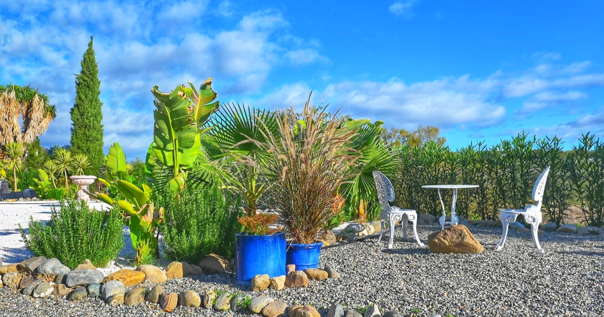 peaceful garden and sitting areas
